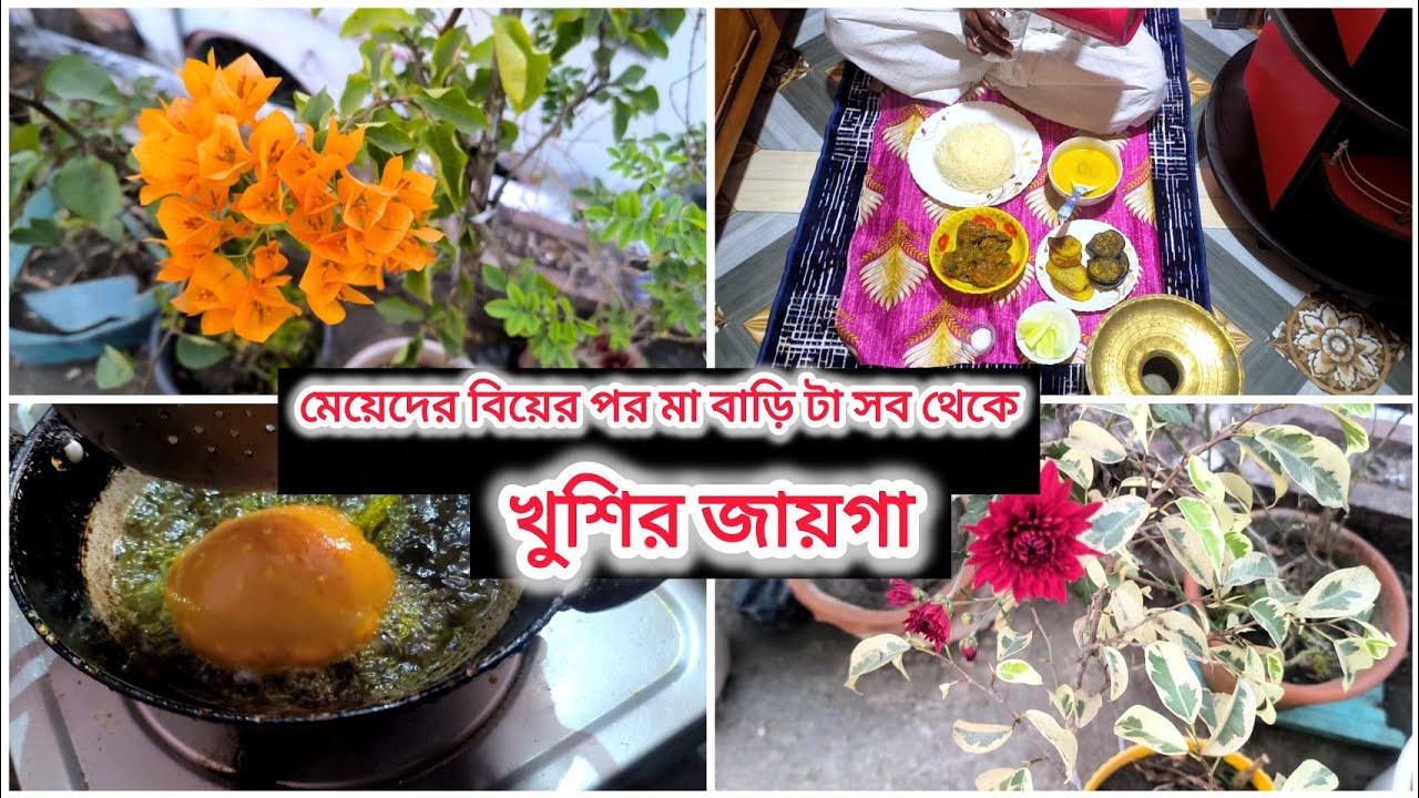 মেয়েদের বিয়ের পর মা বাড়ি টা সব থেকে খুসি আনন্দর জায়গা,, এমন আনন্দ কোথাও পাওয়া জাই না #vlog