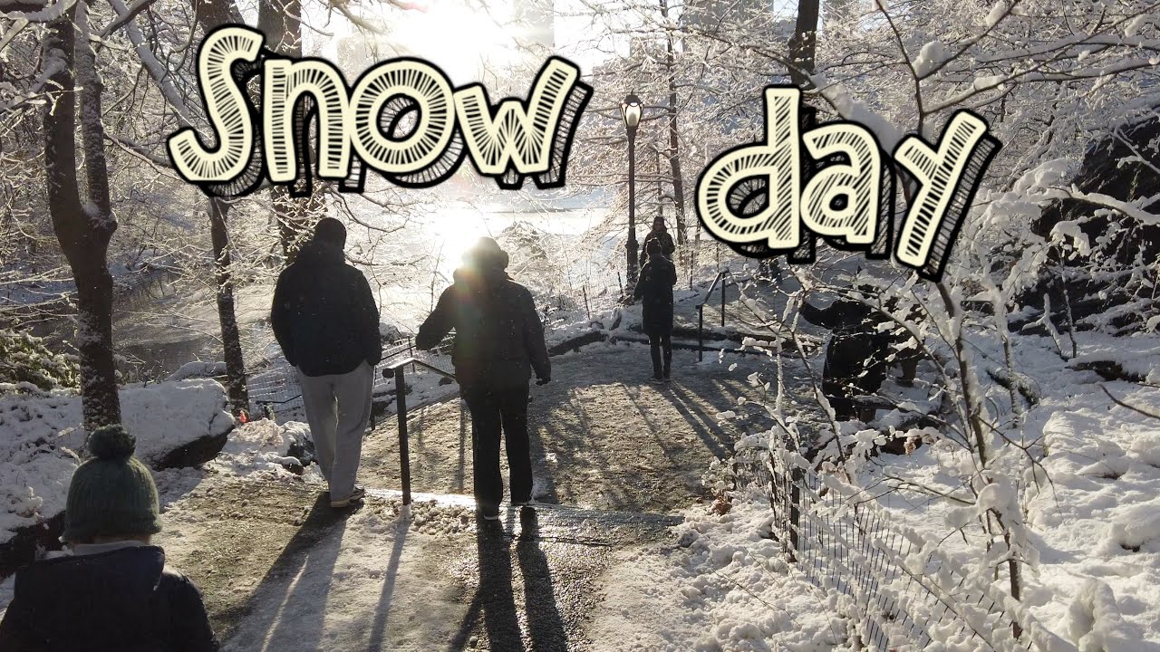 Central Park & Fifth Avenue SNOW DAY