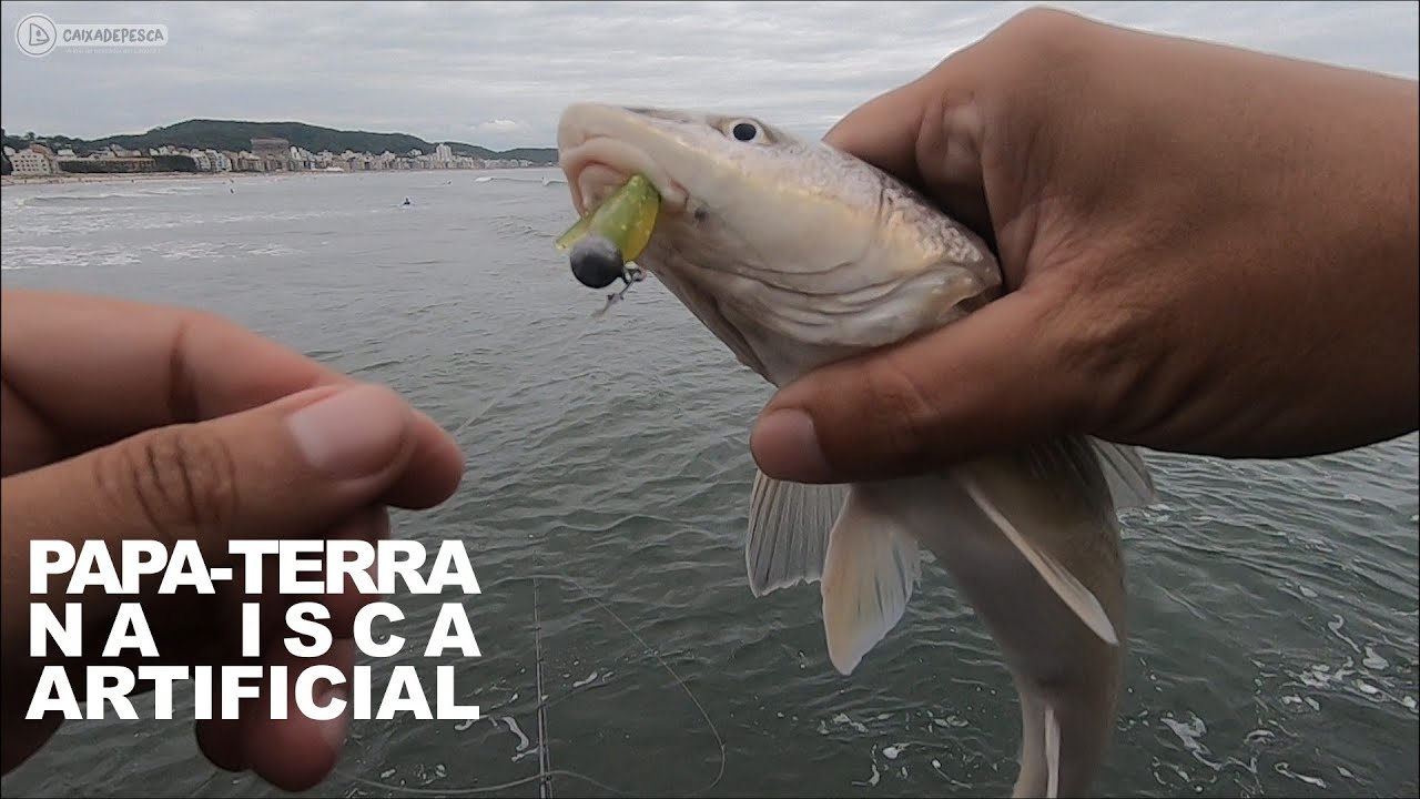 Pescando na praia Papa-terra com isca artificial
