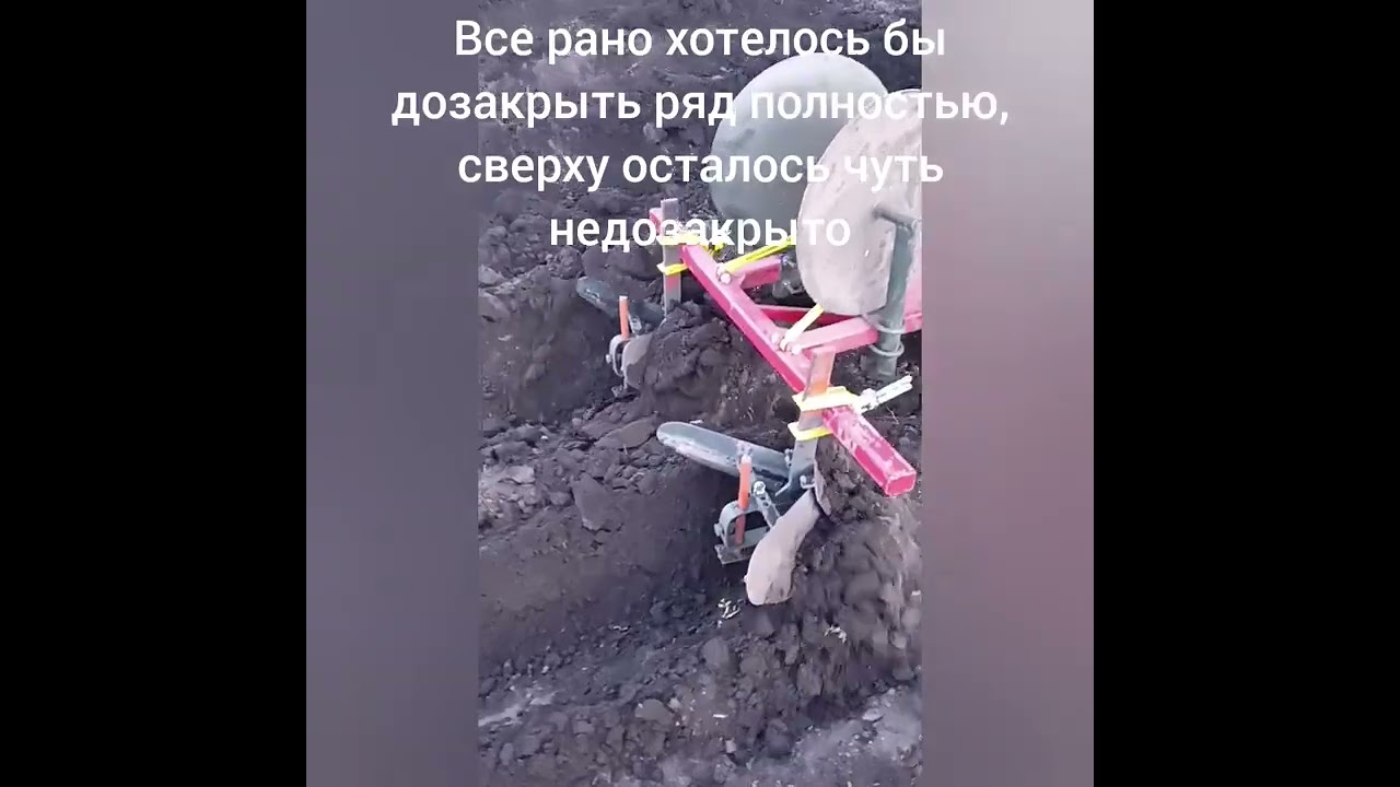 Посадка картохи 2024 