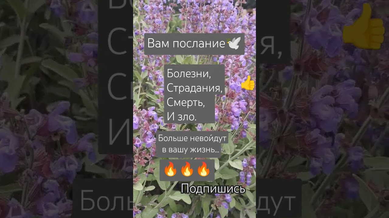 #молитвы#ретуалы#народныеприметы#душа #reels #flowers #любовь