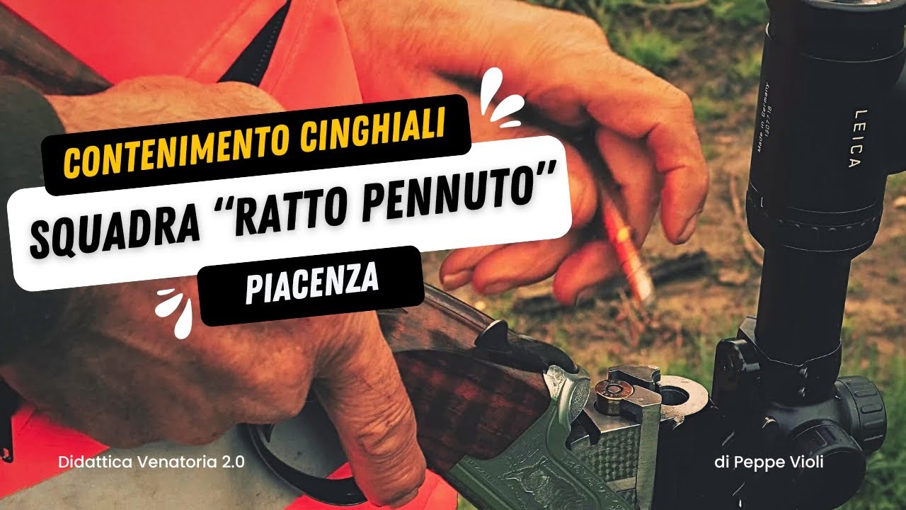 Contenimento cinghiali, squadra RATTO PENNUTO, Piacenza.