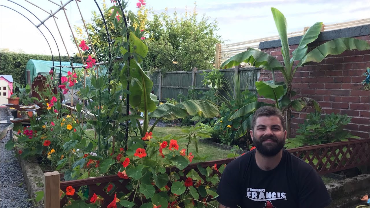 MY 3 MONTH UK TROPICAL GARDEN TRANSFORMATION 🌴🌺 #transformation #garden #gardentransformation