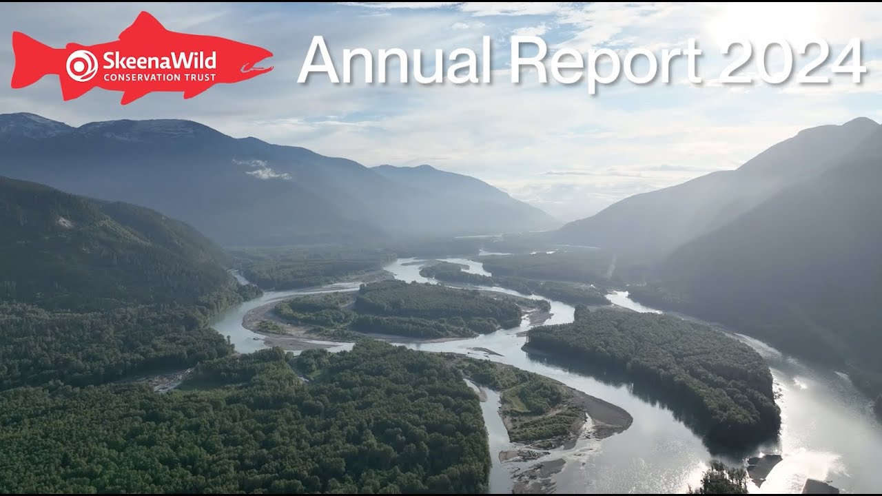 SkeenaWild Conservation Trust Annual Review 2024
