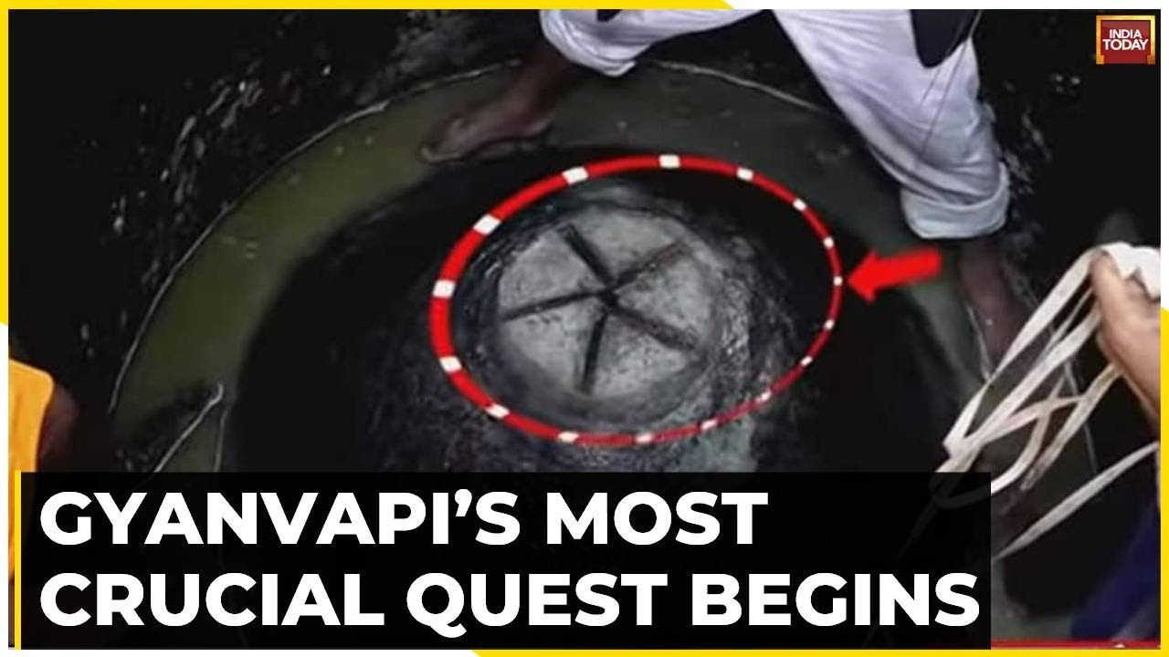 Gyanvapi Survey Today: Listen To What One Of The Petitioners Have To Say About This HC Verdict