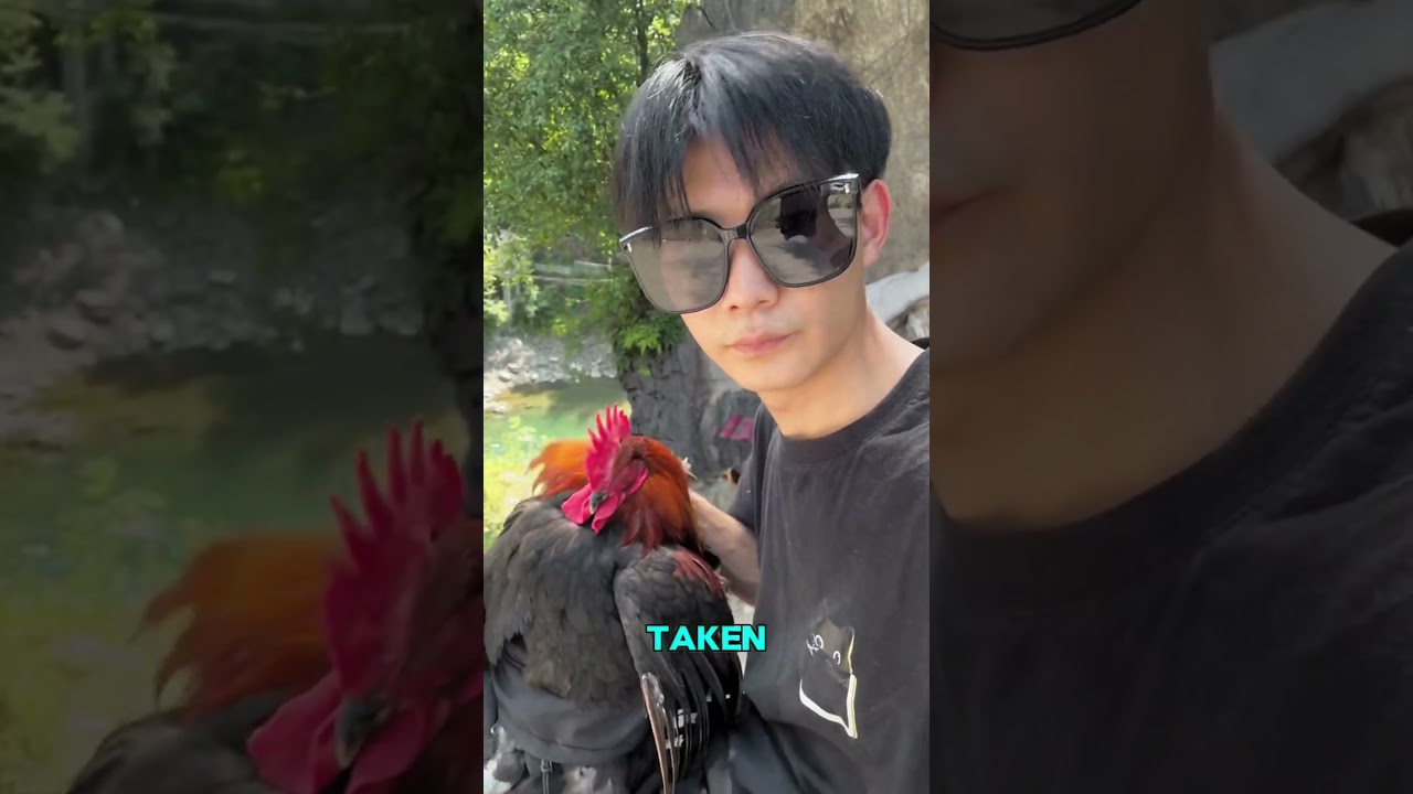 I love you hen #shorts #shortvideo #youtubeshorts
