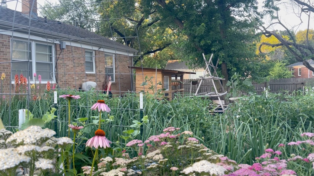 I Might Regret This! Testing My Luck Growing Corn… Resetting The Garden After My Garlic Harvest!