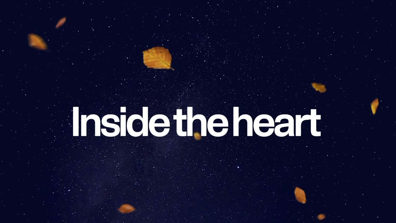 Inside the heart 