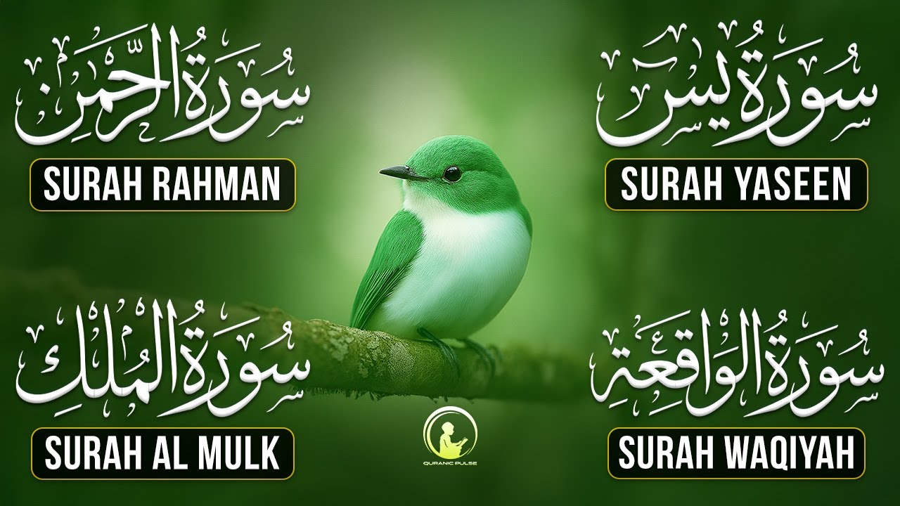 Magical Recitation Surah Yaseen (Yasin) | Surah Rahman | Surah Waqiah | Surah Mulk