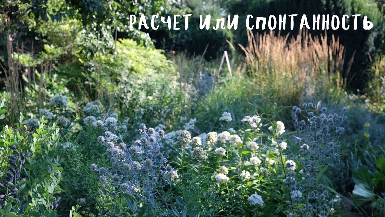 расчет или спонтанность