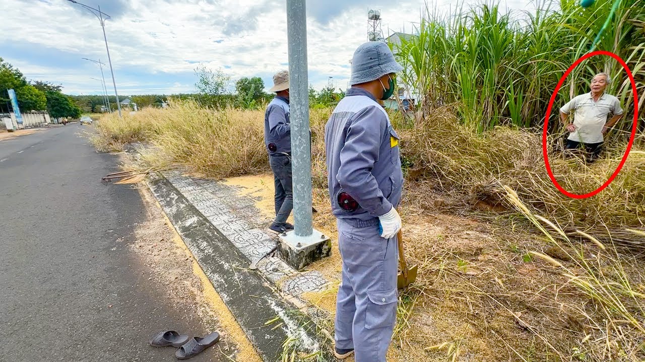 Самый УЖАСНЫЙ тротуар, который я когда-либо чистил, сорняки заросли по всему тротуару