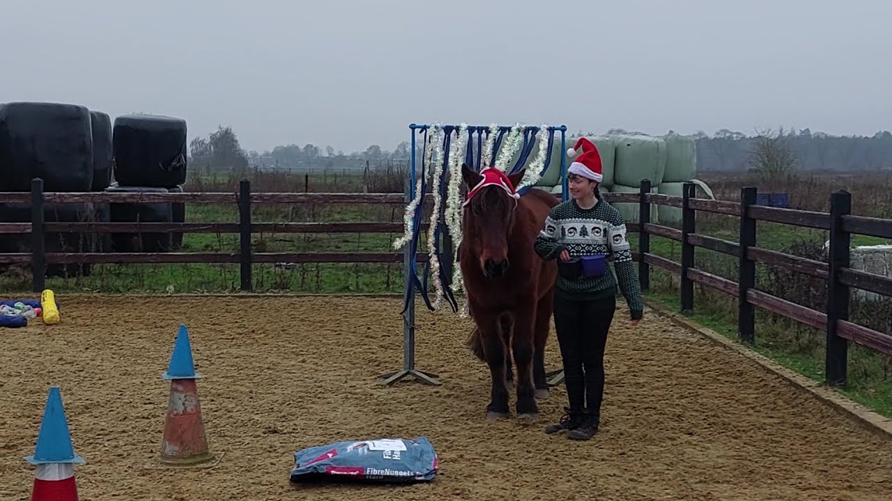 Julia van Ravenzwaaij & Moreno Silver Liberty Walking Only December 