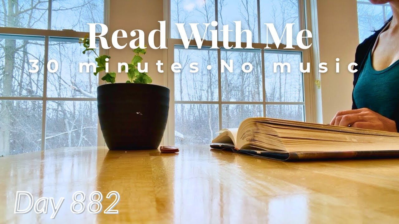 Read With Me 📕| 30 Quiet Minutes by the Window • Winter Snowstorm