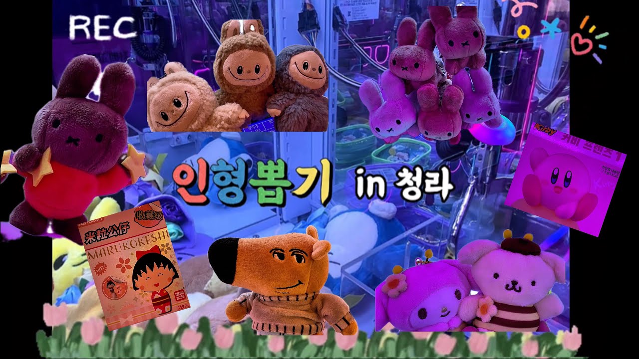 [🕹️ 인천 청라 인형뽑기 탐방]