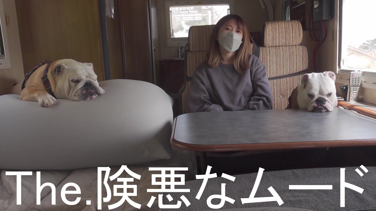 【ワンコと車中泊】やる事、なす事全部うまくいかず我が家史上最悪のムードの車中泊となりました…。