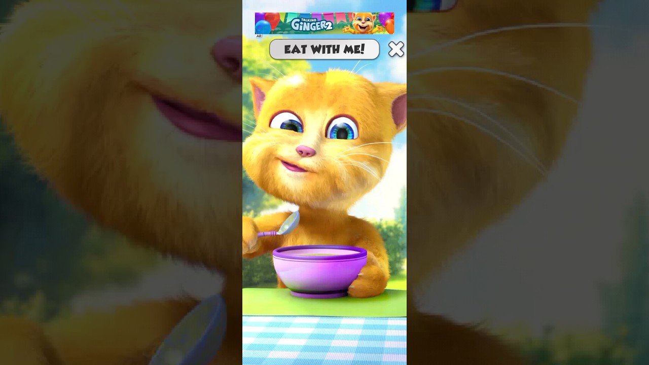 Talking ginger 2 eat with me cat video
