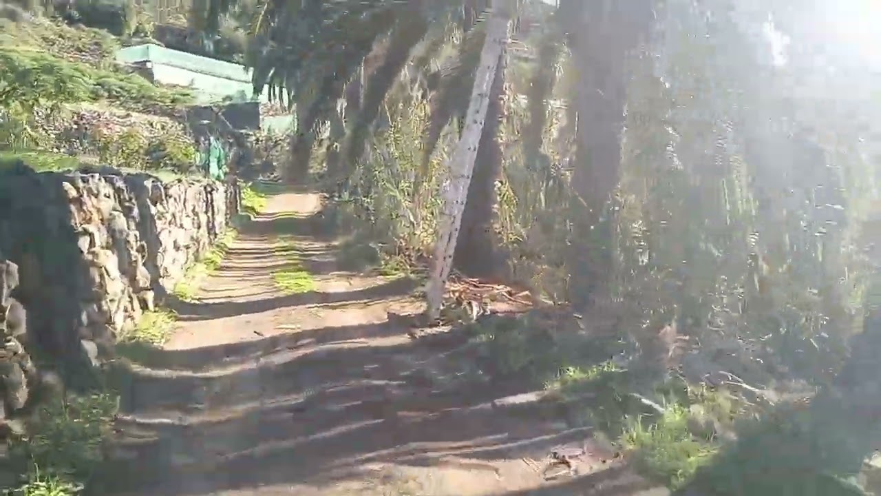 El griego Guarapero de la suerte