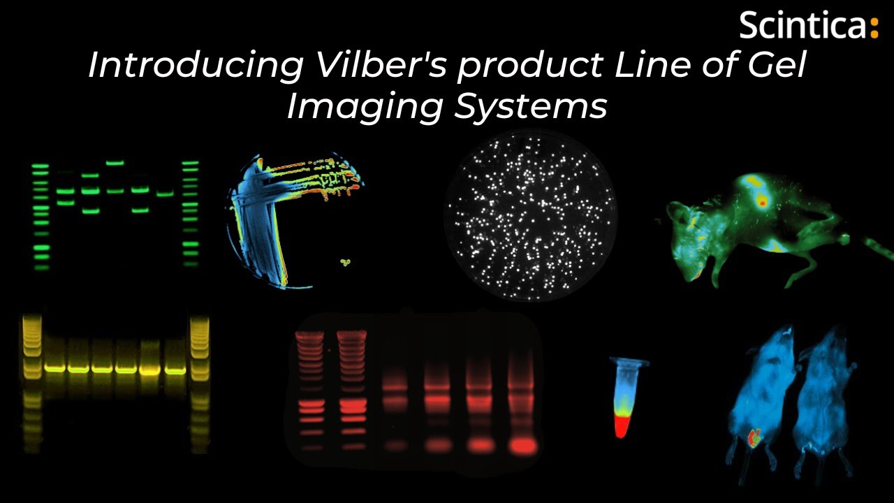 Introducing Vilber&rsquo;s Product Line of Gel Imaging Systems