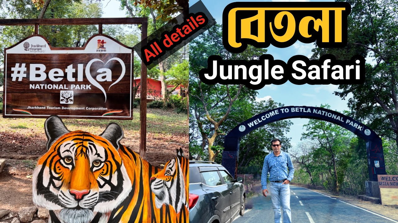 Betla National Park | Palamau Tiger reserve forest | Betla Jungle Safari | Jharkhand