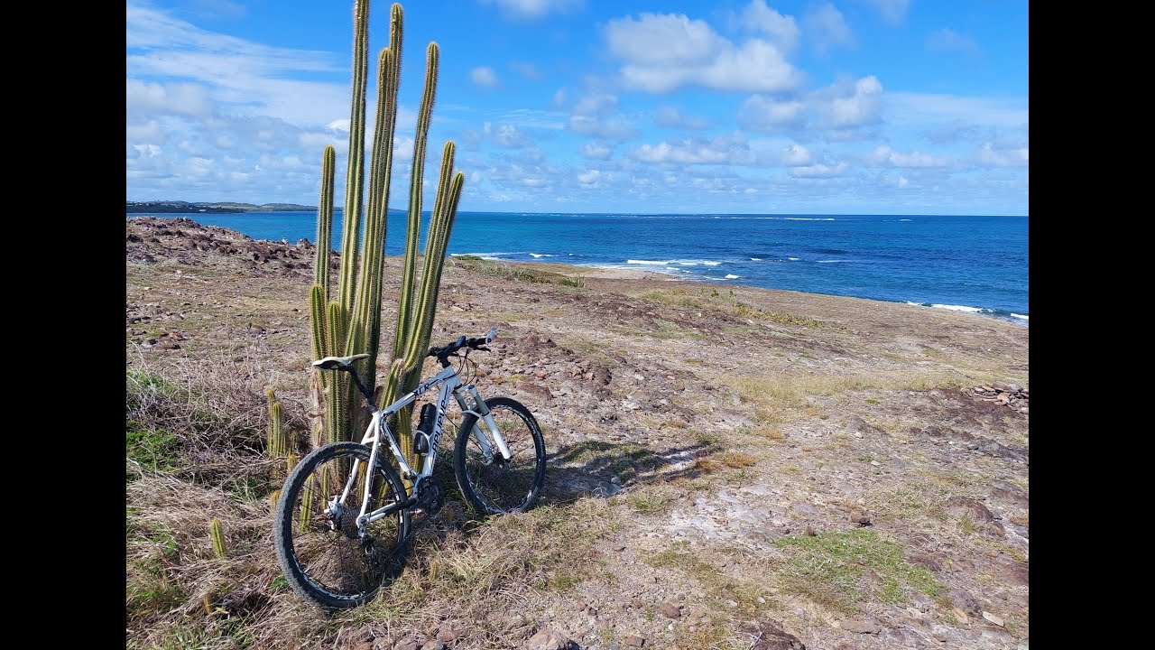 Découverte Martinique: Macabou - Cap Macré en VTT
