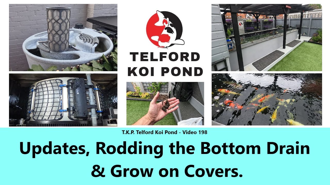 T.K.P. Telford Koi Pond - Video 198 - Updates, Rodding the Bottom Drain & Grow on Covers #koi #fish