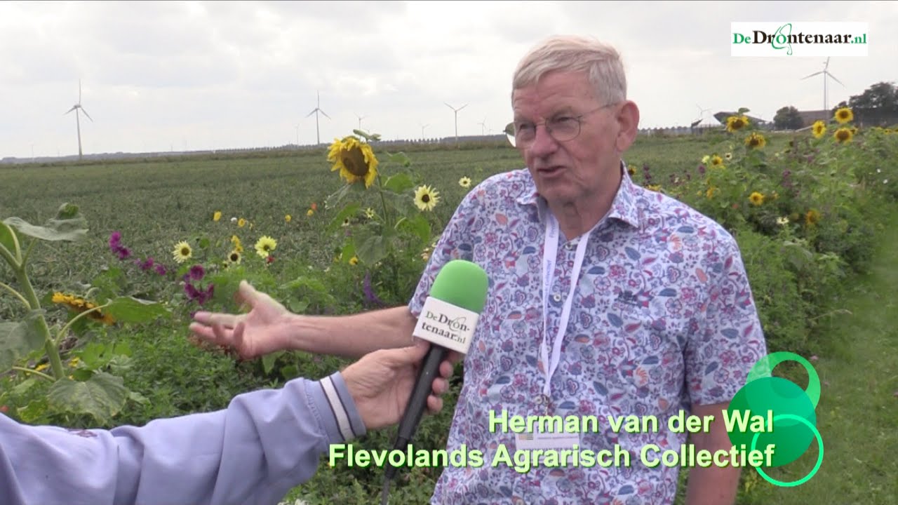 Herman van der Wal uit Dronten over bloeiende akkerranden