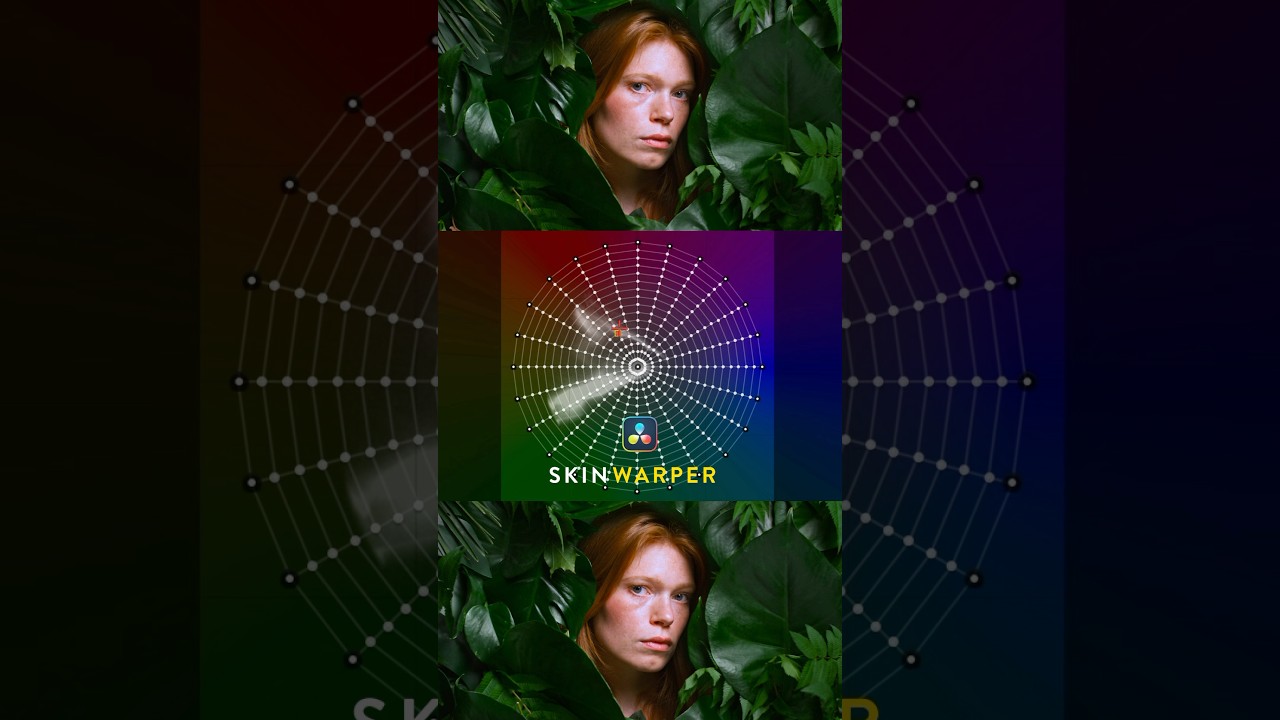 Color warper skin tones in DaVinci Resolve  20