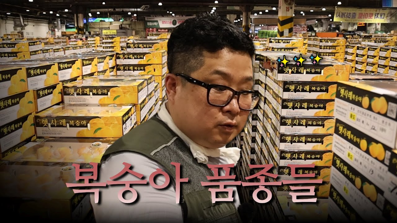 복숭아 품종들