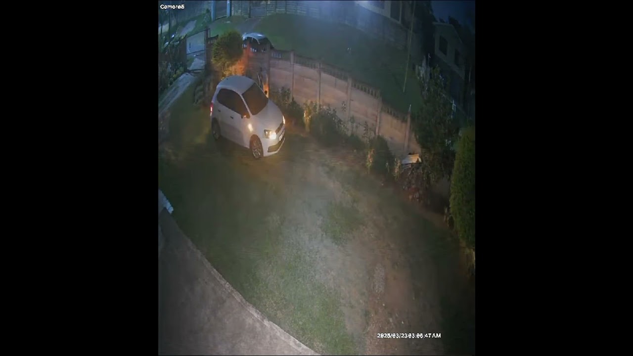VW POLO STOLEN from Hillary 23 March 2025