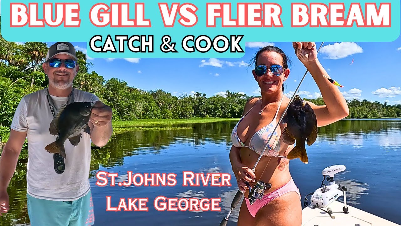 Fun Freshwater Fishing For Blue Gill & Flier Bream | Catch and Cook | Lake George St. Johns River