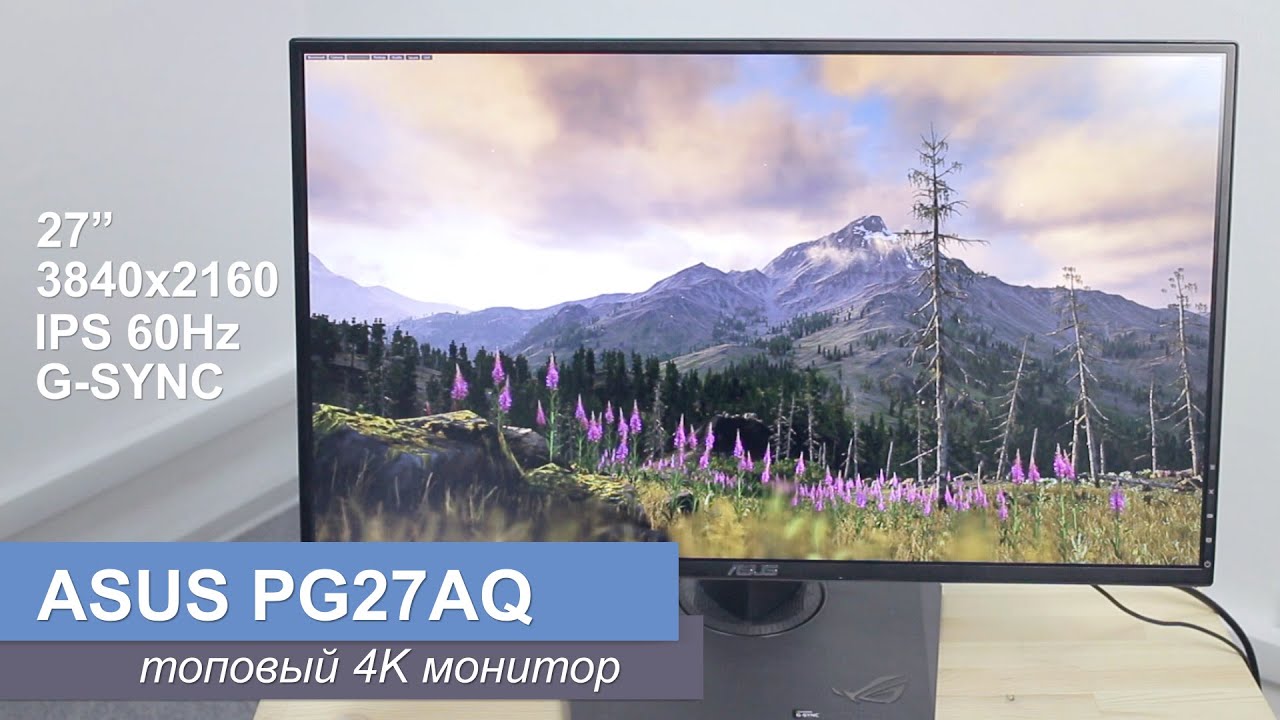 Asus PG27AQ - топовый 4к монитор