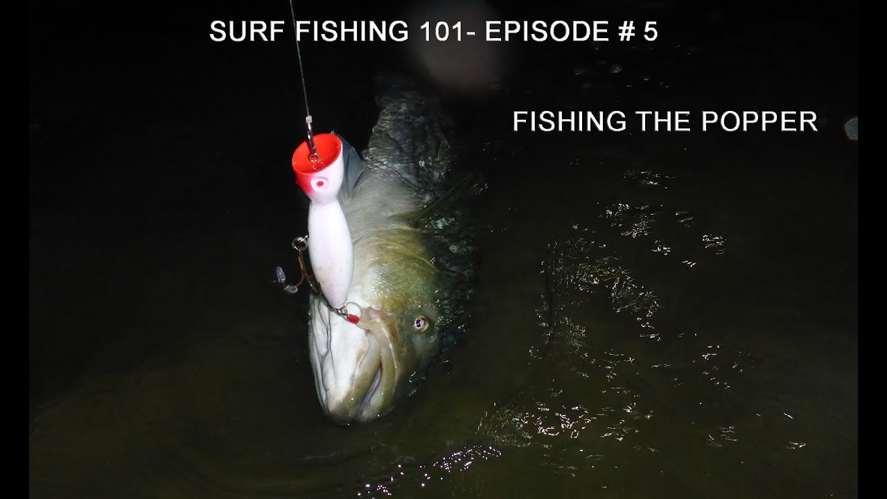 Surf Fishing 101 Episode # 5   The Popper