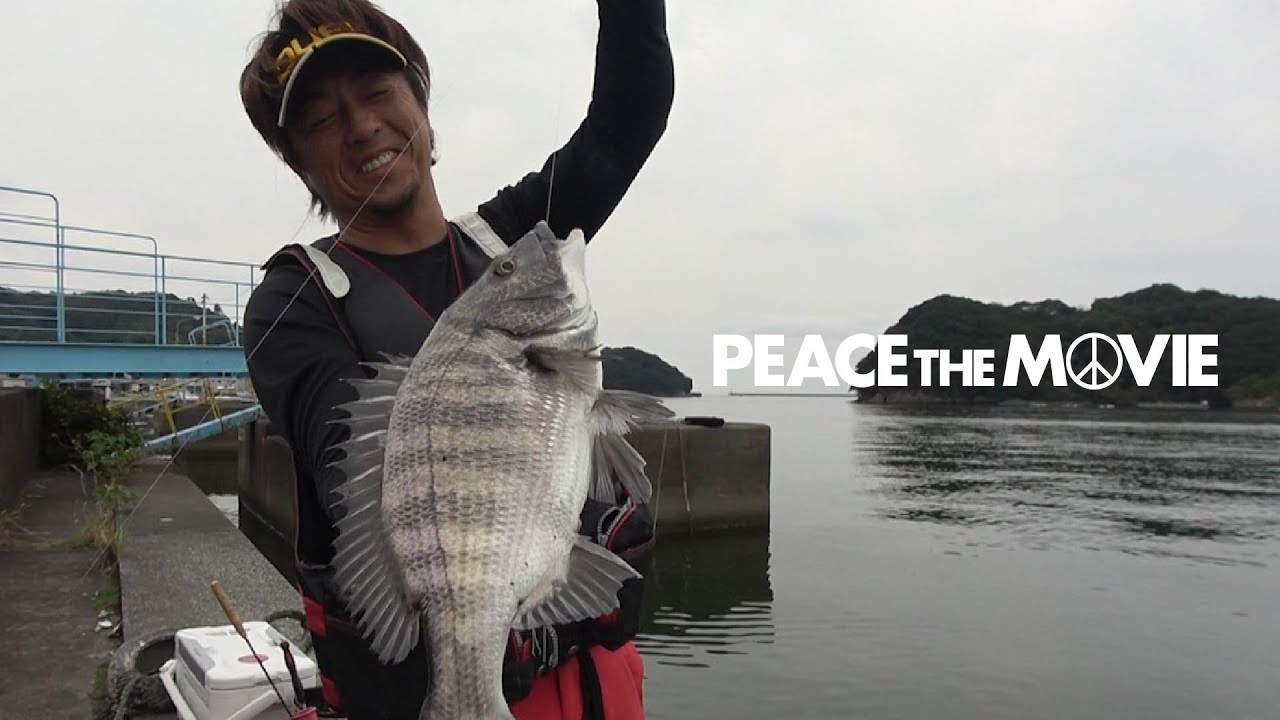 PEACE THE MOVIE #75「座ってのんびり釣るはずが・・・！？」四国地方・高知県鵜来島の旅（後編）/平和卓也(935)