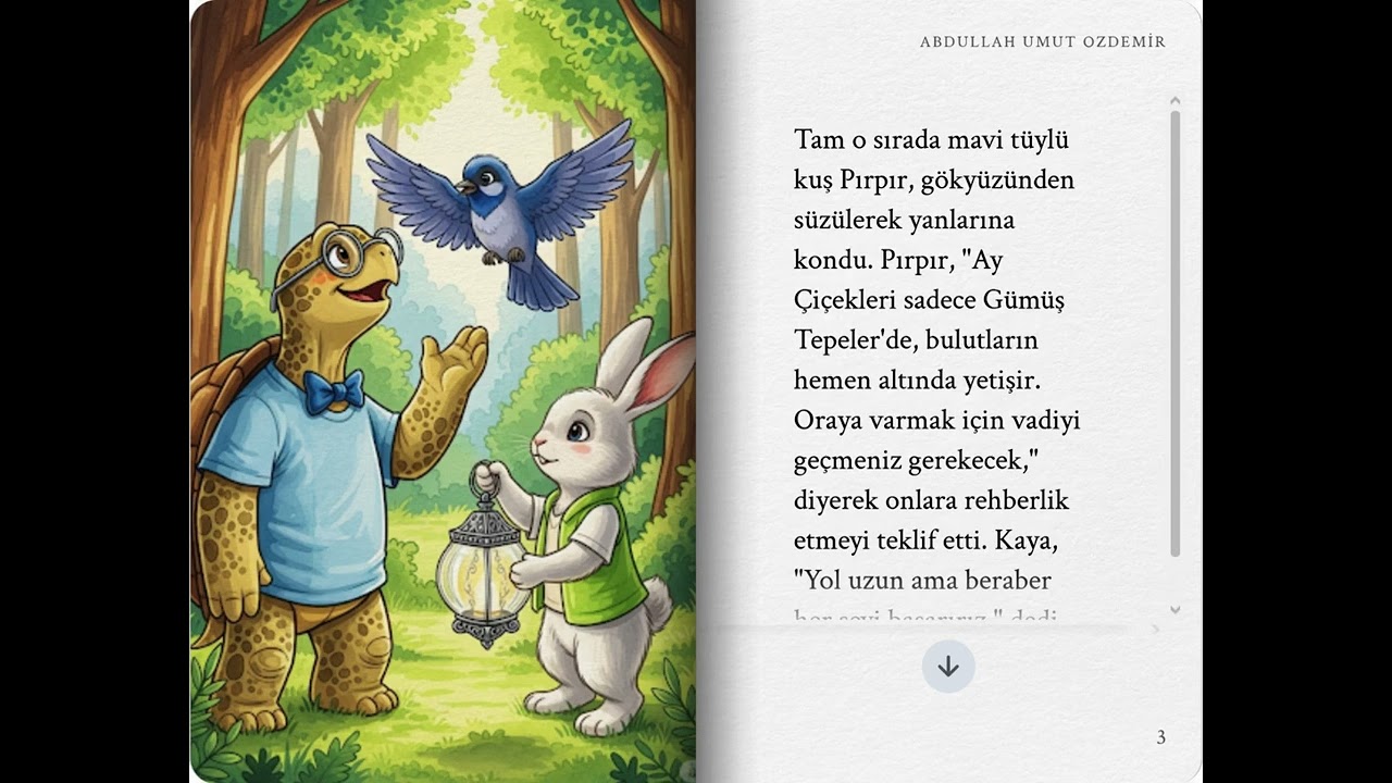 Zıpzıp ve Kaya  Işıldayan Gece Macerası