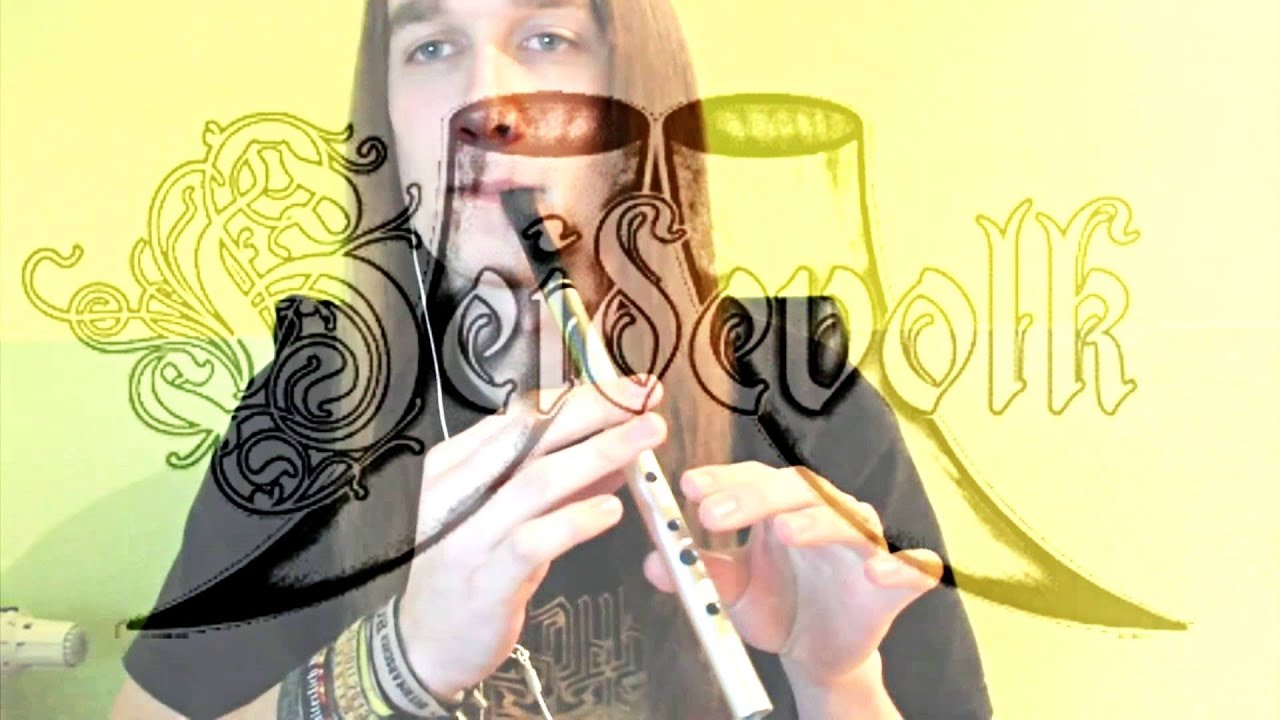 Vulgaris Magistralis - Heidevolk- Tin Whistle Cover
