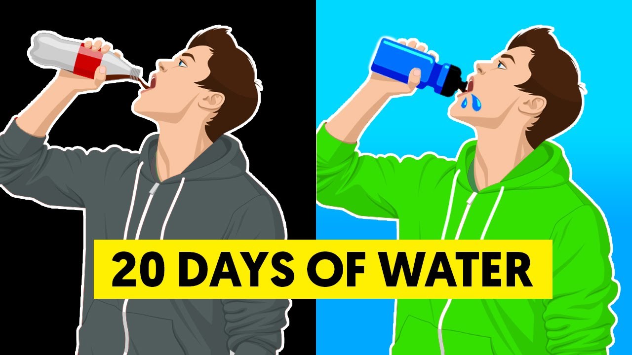 What happens when you replace all drinks with water for 20 days