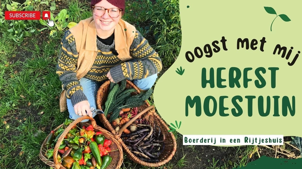 Herfst MOESTUIN Update | Oogst met mij