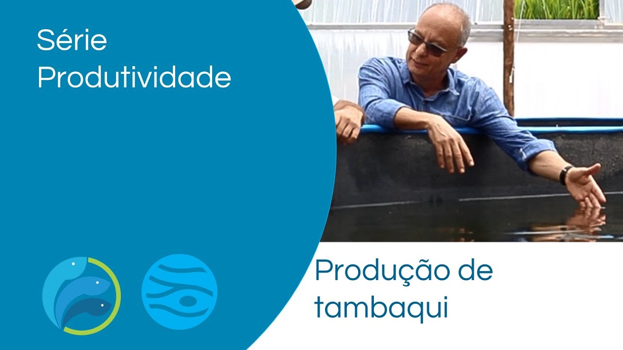 Produção de tambaqui