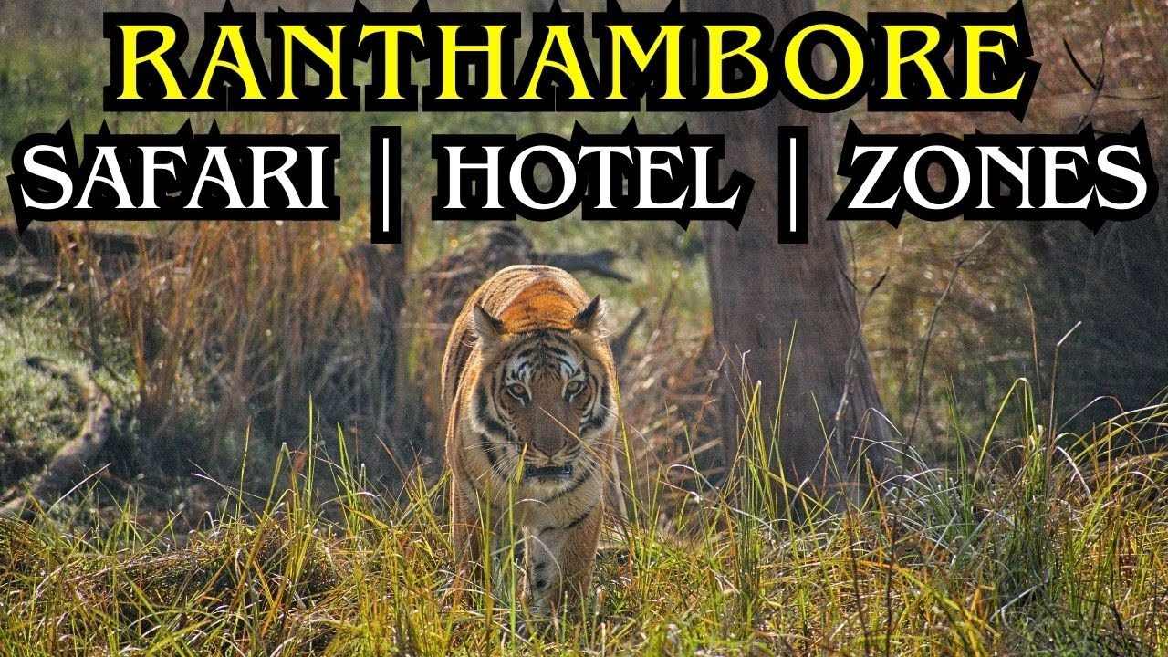 RANTHAMBORE NATIONAL PARK BUDGET | TRAIN | JUNGLE SAFARI PRICE | HOTEL | BEST ZONES