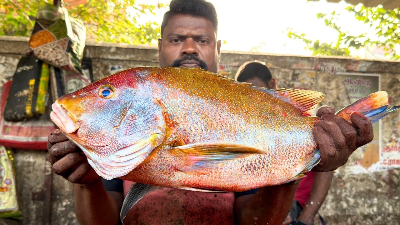 KASIMEDU SELVAM FISH CUTTING | UK SONS MARINE 🇮🇳