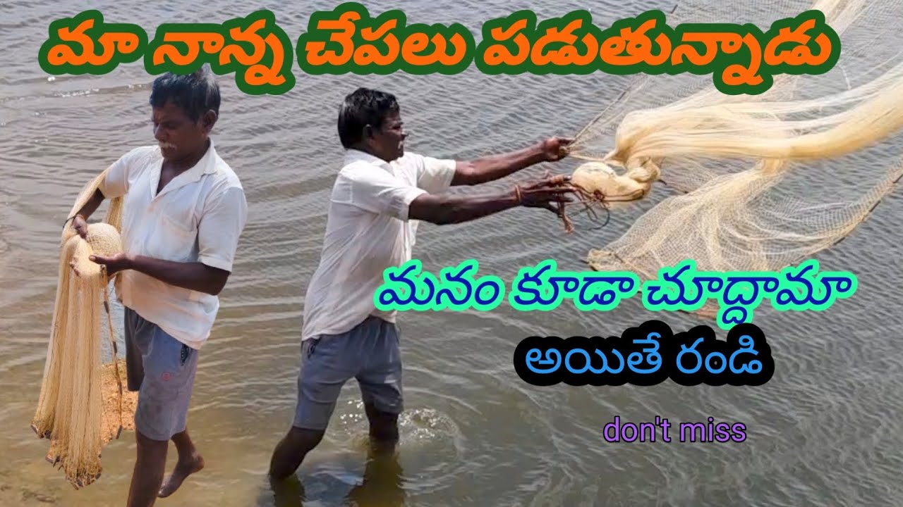 మా నాన్న వలతో చేపలు పడుతున్నారు ||#sugunaminichannel