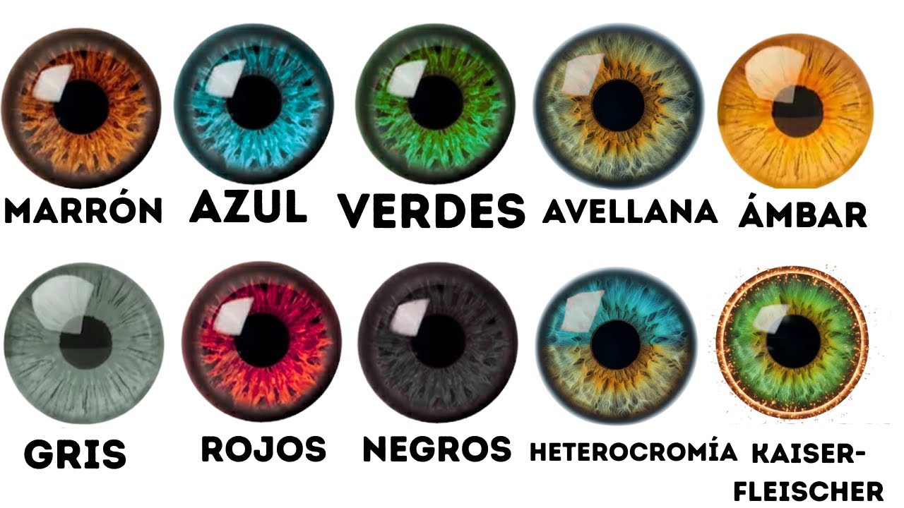 TU COLOR DE OJOS REVELA EL SECRETO DE TUS ANCESTROS (LA CIENCIA LO EXPLICA)