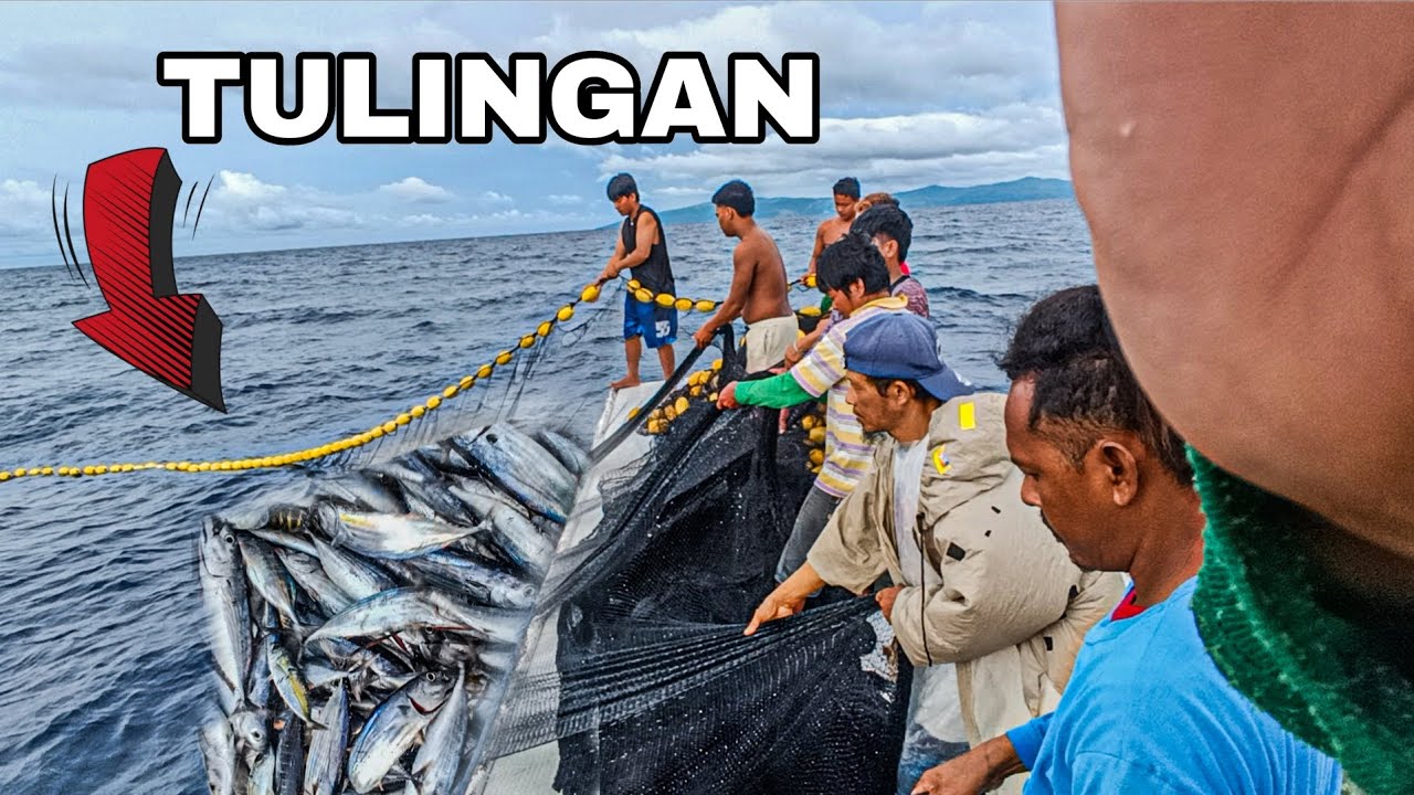 10 BOX NA TULINGAN SA ISANG ARYA SA LAWAK! fishing Adventures 
