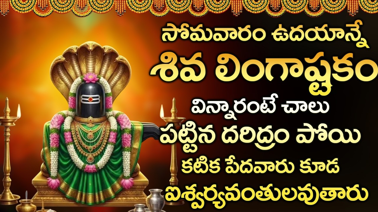 శివ లింగాష్టకం 10 నిముషాలు విన్నా చాలు మహాదేవుని ఆశీస్శులు మీ సొంతం || LINGASHTAKAM