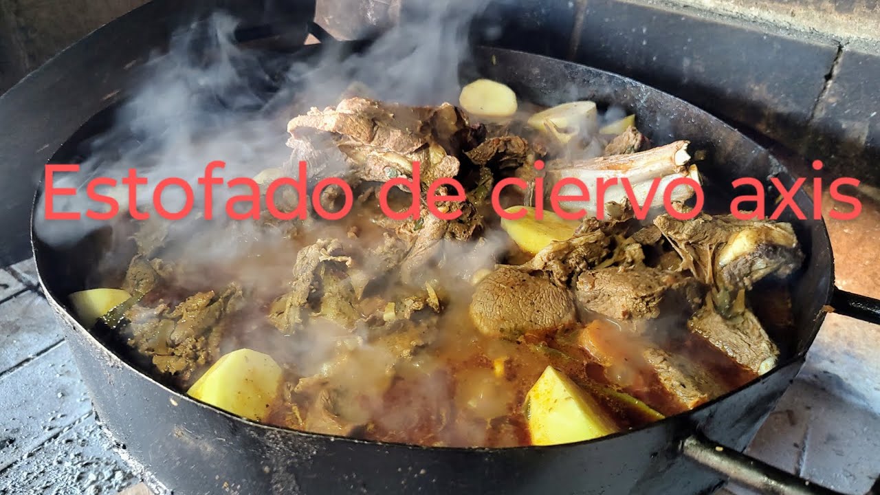 cómo hacer estofado de ciervo axis al disco