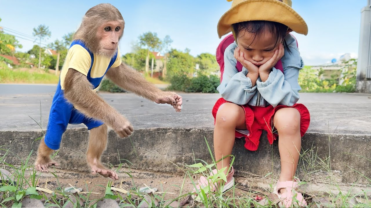 Unbelievable! Cutis picked up Yen Nhi from school in the smartest surprise ever