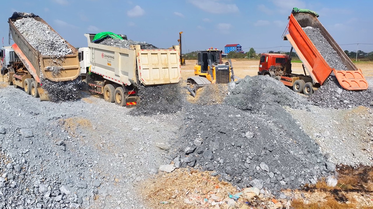 Amazing Bulldozer SHANTUI C3 Push Rock With DumpTruck 25 TON Transport Rock Filling Land