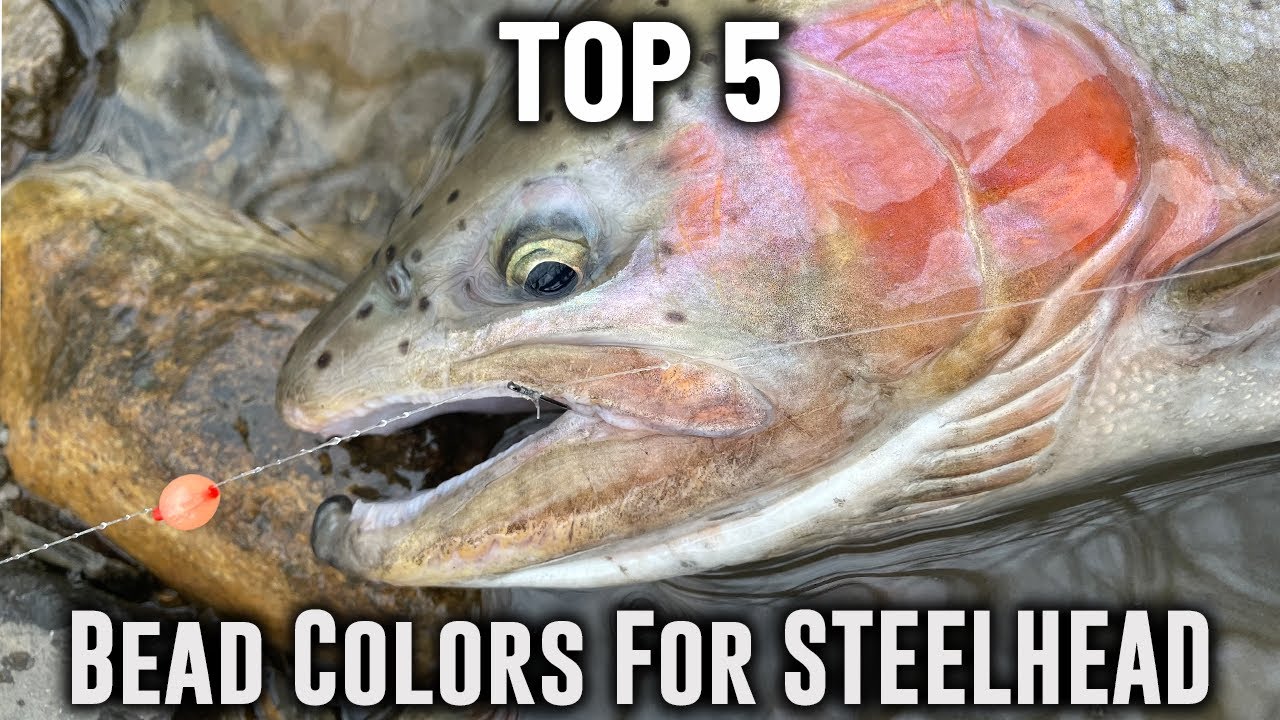 FIVE Bead Colors You Need To Have For Great Lakes Steelhead Fishing