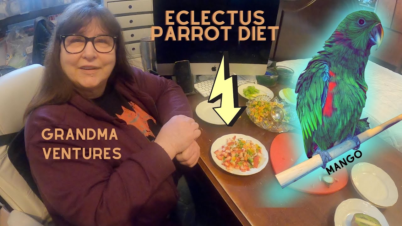 Eclectus Parrot Diet.. How To Feed Eclectus Parrots!