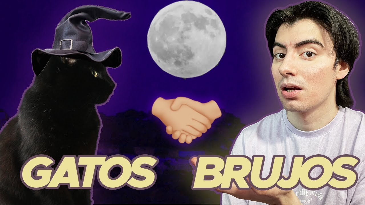 El Mejor Amigo del Brujo - Los Gatos 🖤